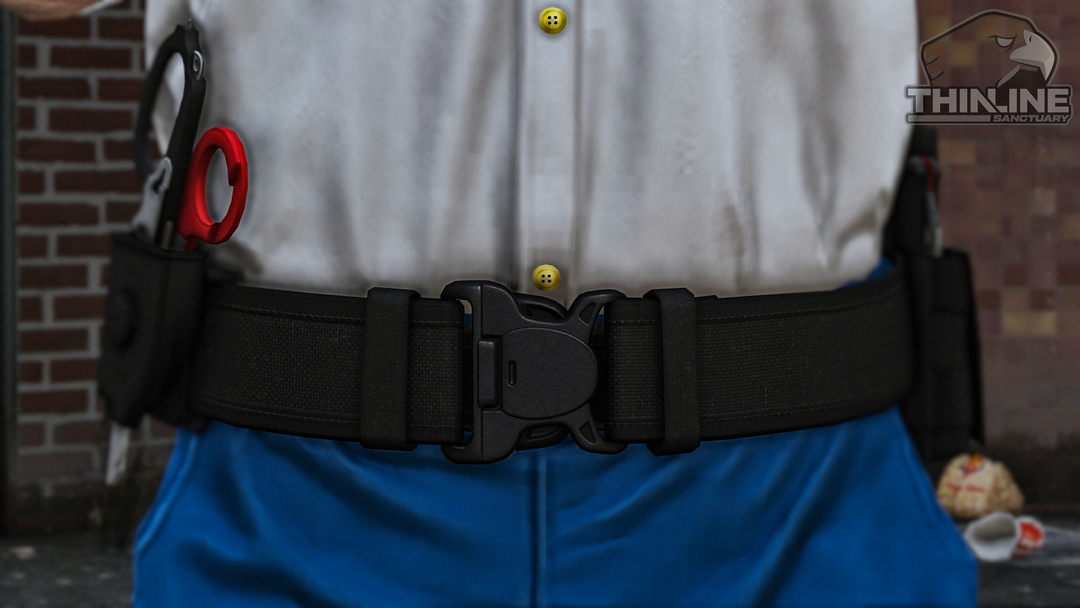 EMS Belt Package