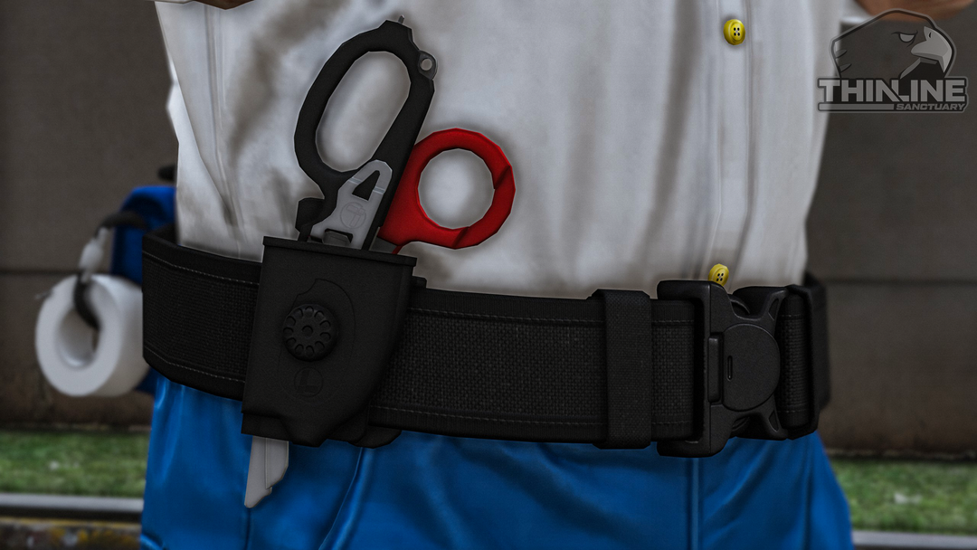 EMS Belt Package