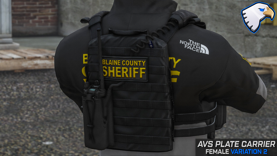 Crye AVS Plate Carrier: Female – ThinLineSanctuary