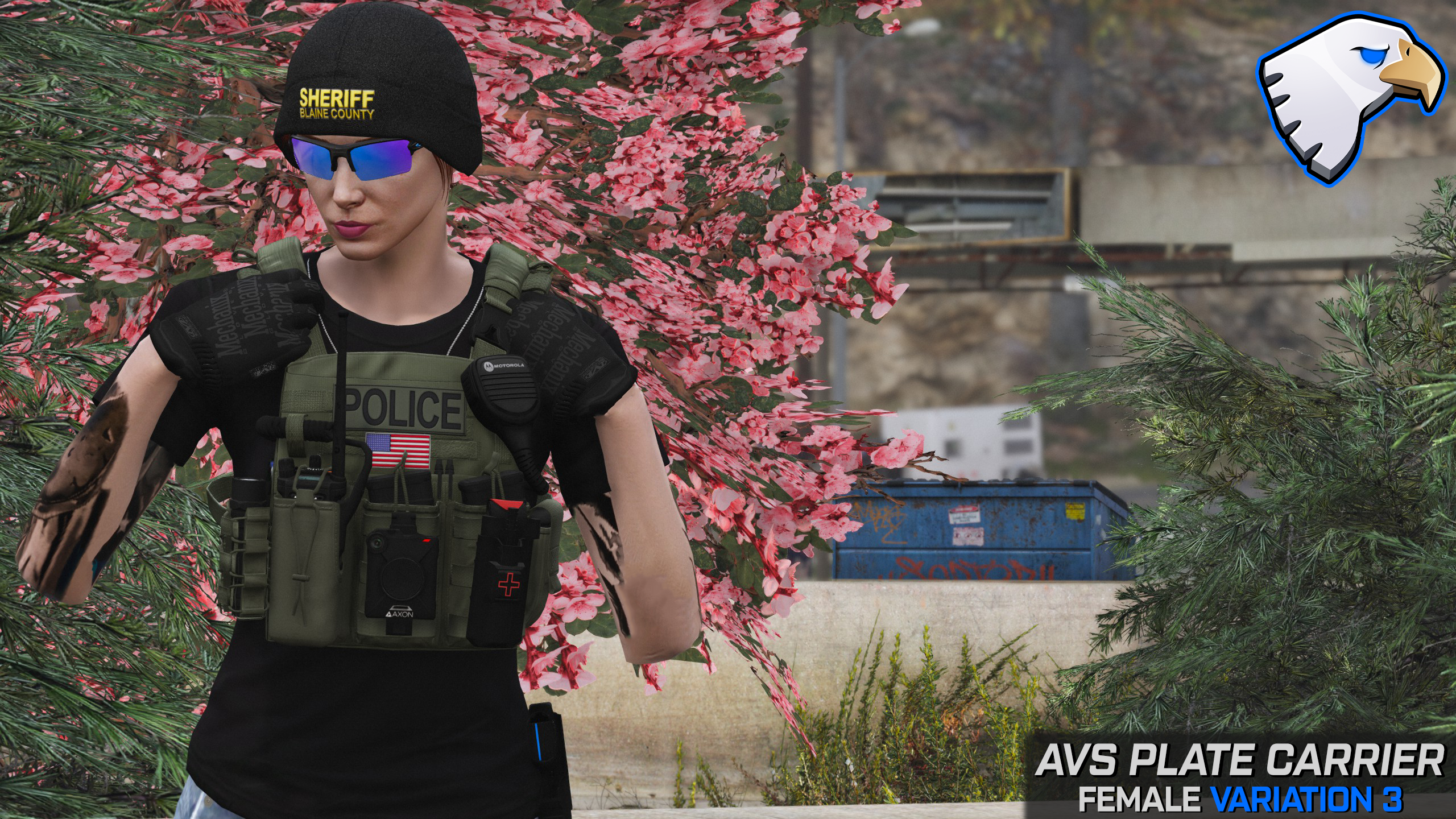 Crye AVS Plate Carrier: Female – ThinLineSanctuary