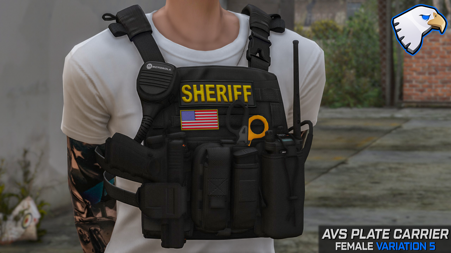 Crye AVS Plate Carrier: Female – ThinLineSanctuary