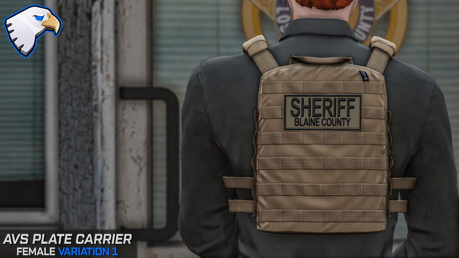 Crye AVS Plate Carrier: Female – ThinLineSanctuary