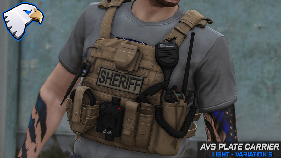 Crye AVS Plate Carrier – ThinLineSanctuary