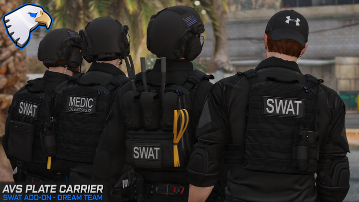 AVS: SWAT Add-On